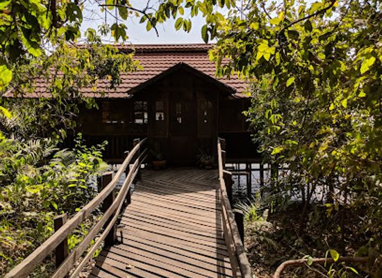 the-gambia/sandu/attraction/chimp-rehabilitation-center