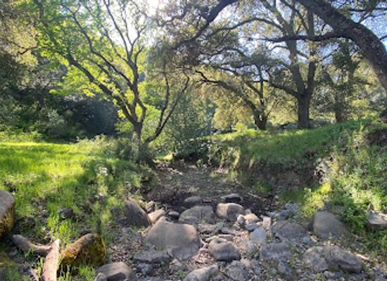 california/walnut-creek/attraction/diablo-foothills-regional-park
