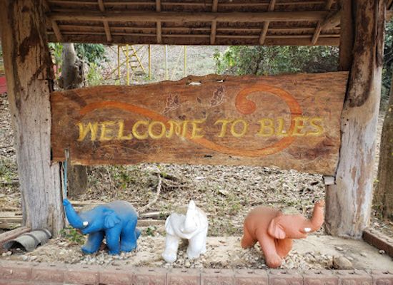 thailand/northern-thailand/attraction/boon-lott-s-elephant-sanctuary-bles
