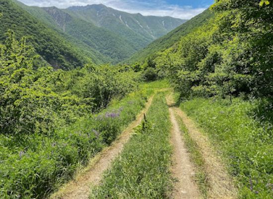 armenia/arevik-national-park/attraction/syunik-mountains-armenia