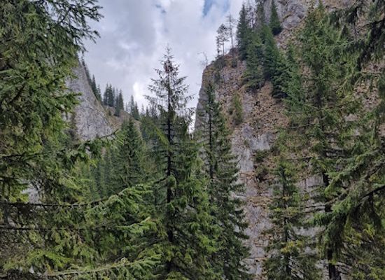 romania/bucegi-mountains/attraction/vararia-mare