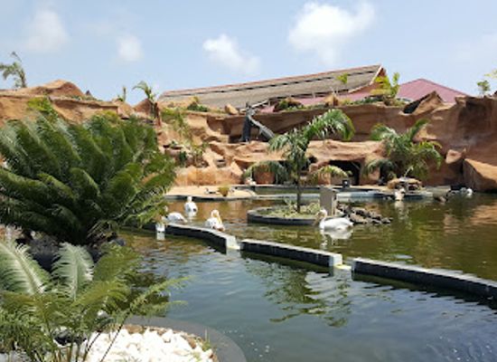ghana/volta-region/attraction/keta-lagoon-protected-area