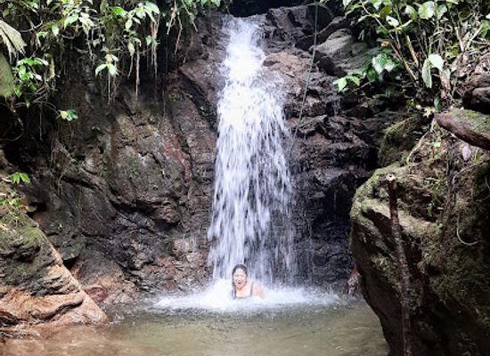 ecuador/tena/attraction/cascadas-de-pimpilala