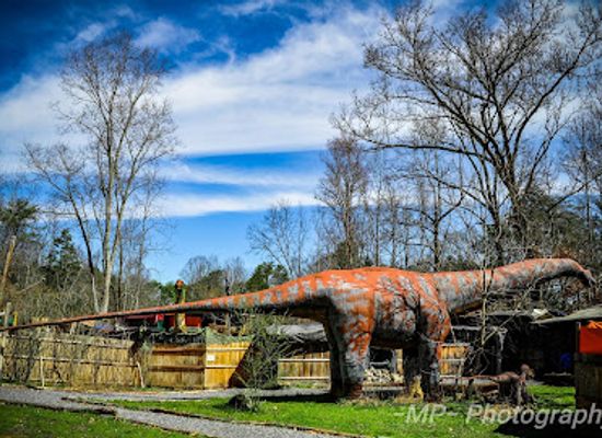 tennessee/johnson-city/attraction/backyard-terrors-and-dinosaur-park