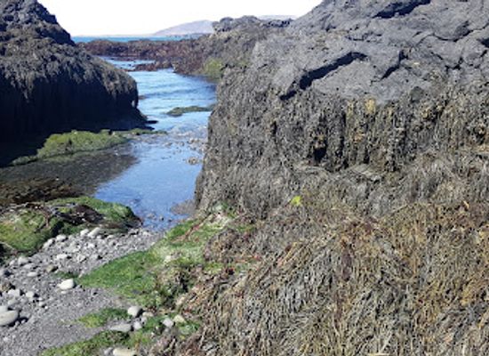 iceland/southern-peninsula/attraction/selatangar