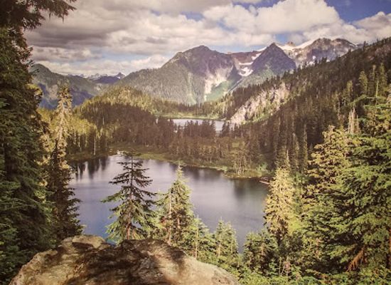 washington/western-washington/attraction/burke-museum-of-natural-history-and-culture