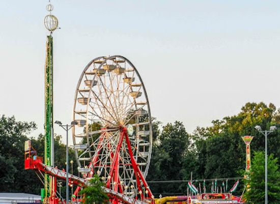 kentucky/paducah/attraction/carson-park