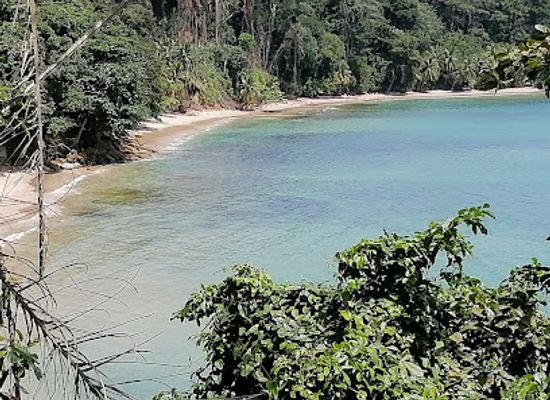 gabon/gaboon-estuary/attraction/zoobotanique-de-santa-clara-garden
