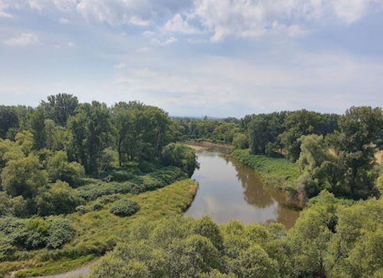 czechia/silesia/attraction/graniczne-meandry-odry