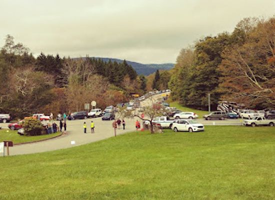 west-virginia/greenbrier-river-trail/attraction/cranberry-mountain-nature-center