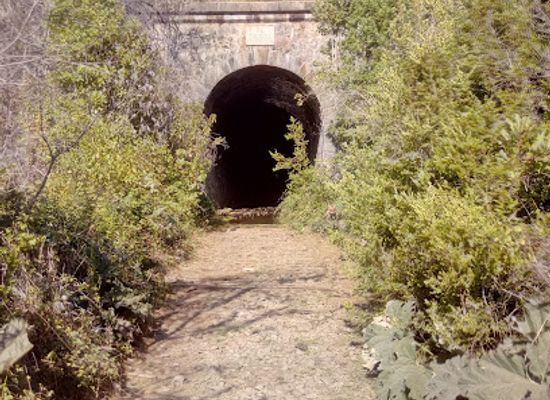 chile/pichilemu/attraction/tunel-el-arbol