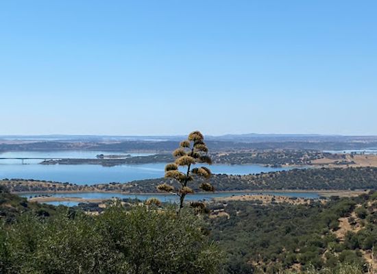 portugal/alentejo/attraction/praia-fluvial-de-monsaraz