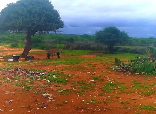 somalia/sool/attraction/liido-beach