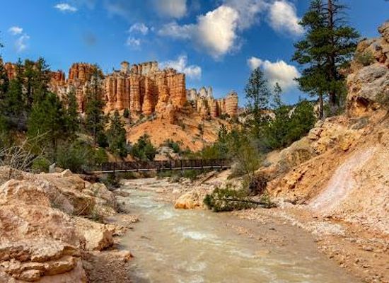 utah/bryce-canyon-national-park/attraction/mossy-cave-trail