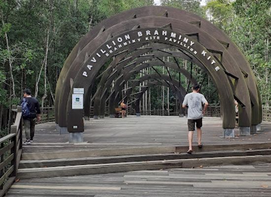malaysia/johor/attraction/kukup-island-johor-national-park