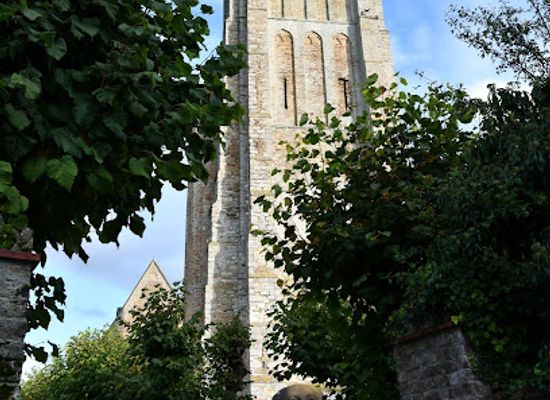 belgium/west-flanders/attraction/blik-van-licht