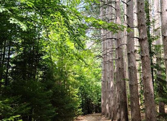 michigan/ann-arbor/attraction/proud-lake-recreation-area