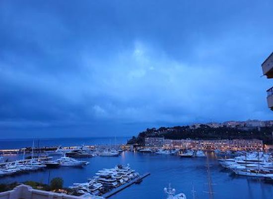 monaco/larvotto/attraction/port-hercule