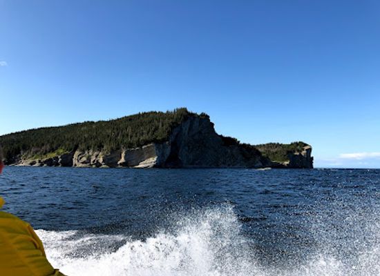 canada/forillon-national-park/attraction/forillon-baleines