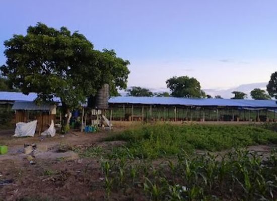 ghana/wa/attraction/leomorsung-farms