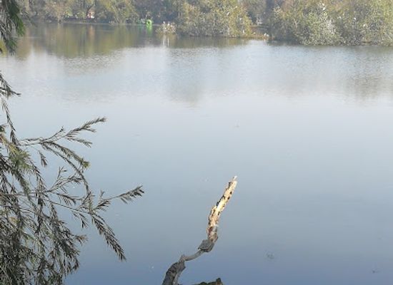 pakistan/rawalpindi/ayub-national-park/attraction/noveltea-lake-ayub-national-park