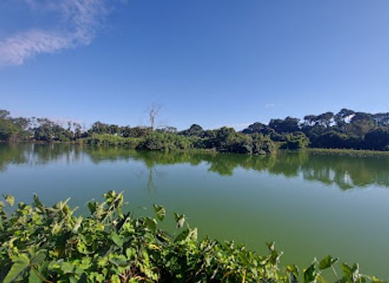 madagascar/antananarivo/isoraka/attraction/tsarasaotra-park