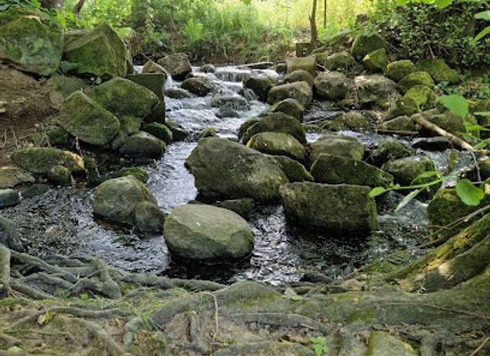 germany/hesse/attraction/blue-stone-falls-eifa