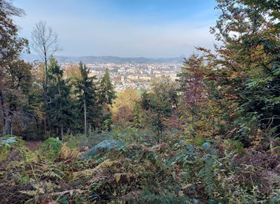 slovenia/maribor/attraction/archaeological-site-postela