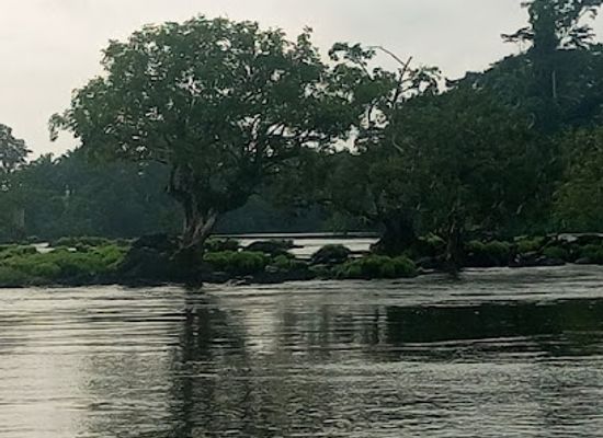 cameroon/coastal-region/attraction/bonguen-plaza
