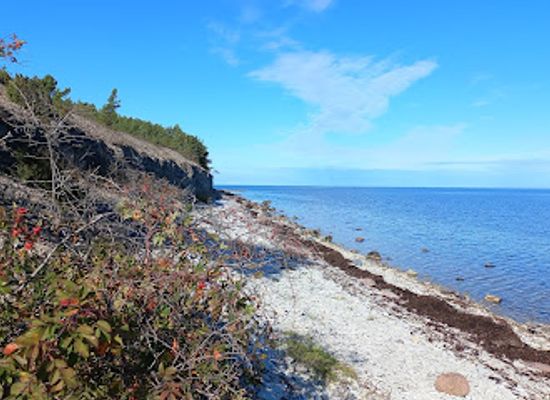 estonia/saare-county/attraction/kuriku-pank