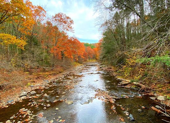 connecticut/litchfield-hills/attraction/hidden-valley-preserve