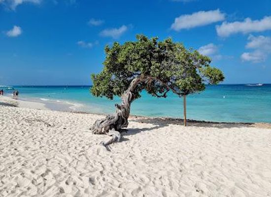 aruba/palm-beach/attraction/eagle-beach