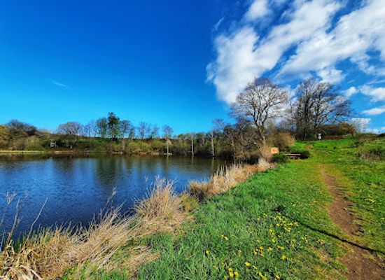 germany/eifel/attraction/eichholzmaar-steffeln
