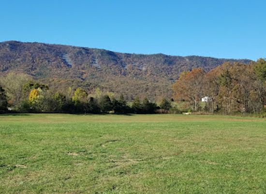 virginia/shenandoah-national-park/attraction/cooter-s-place-luray