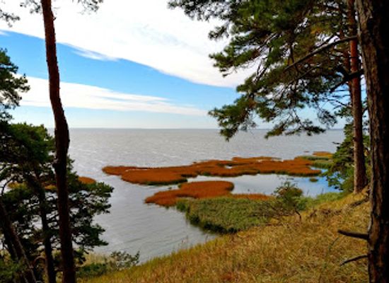 poland/szczecin-lagoon/attraction/dab-wolinian