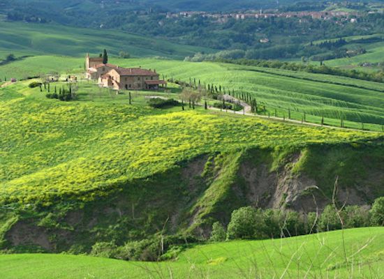 italy/casentino/attraction/very-tuscany-wine-tour-sightseeing-tour-in-tuscany