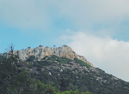 cyprus/akamas-peninsula-national-park/attraction/pissouromoutti-trail