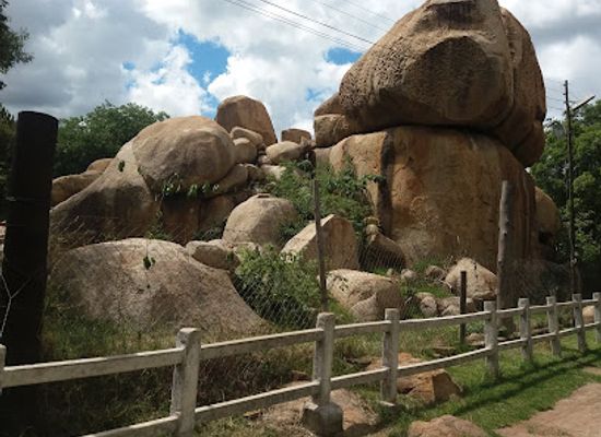 zimbabwe/mashonaland-east/attraction/lion-park