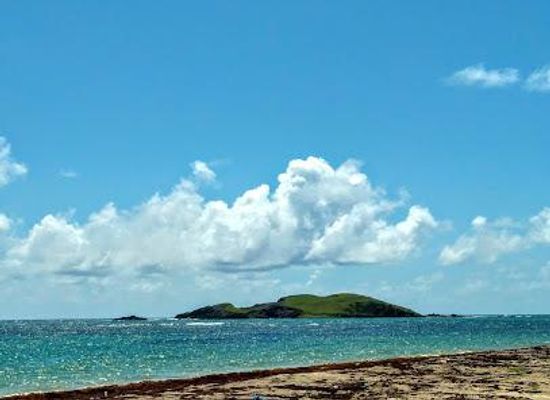 saint-lucia/laborie/attraction/maria-islands-nature-reserve