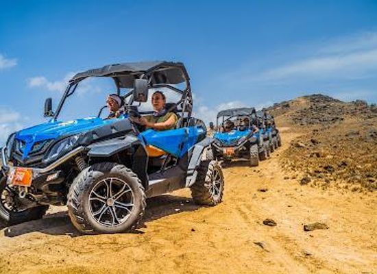 aruba/sero-blanco/attraction/de-palm-tours-aruba