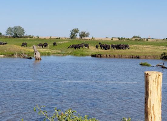 hungary/hortobagy/attraction/fishery-railway-hortobagy