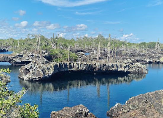 ecuador/puerto-ayora/attraction/punta-suarez