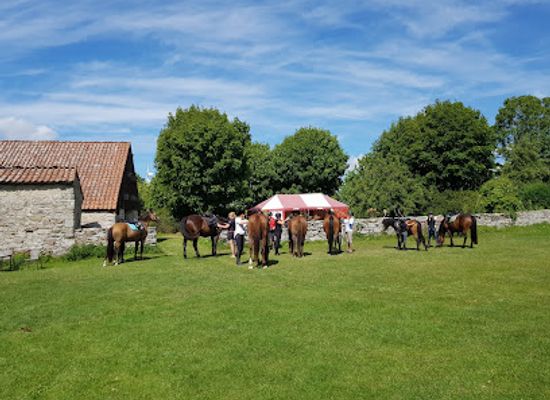 sweden/gotland/attraction/kattlunds-museigard