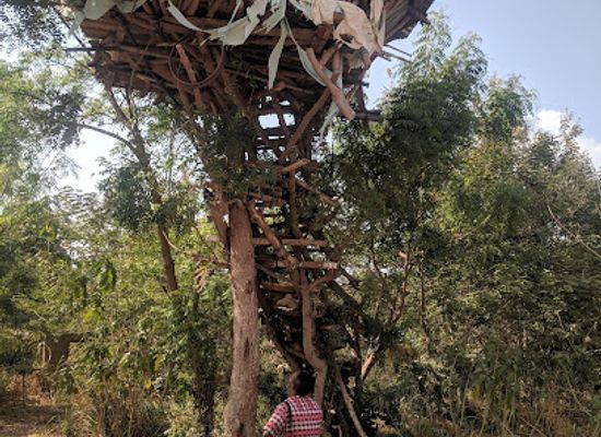 ghana/northern-region/attraction/digya-national-park