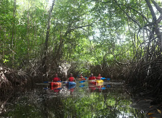 trinidad-and-tobago/caroni/attraction/nariva-swamp