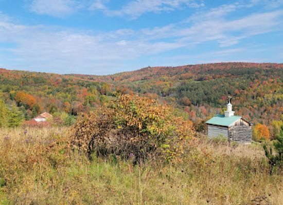 vermont/northeast-kingdom/attraction/dog-mountain-home-of-stephen-huneck-gallery