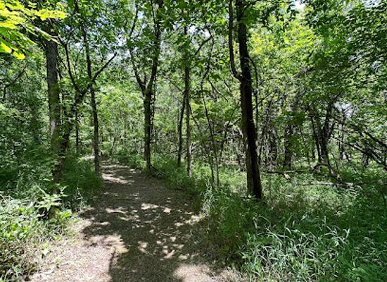 missouri/stockton-lake/attraction/umber-ridge-trailhead