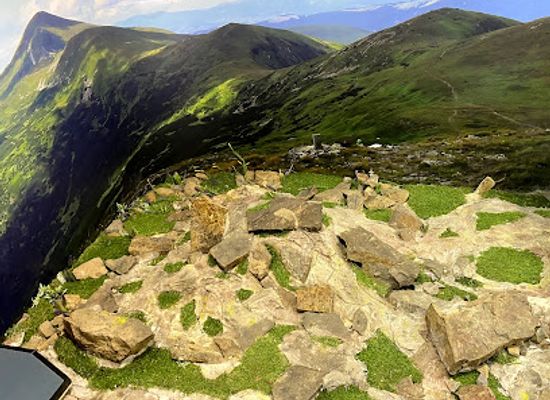 ukraine/hoverla-mountain/attraction/upside-down-house