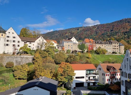 austria/bregenzerwald/attraction/martinsturm