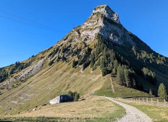 switzerland/fribourg/attraction/moleson